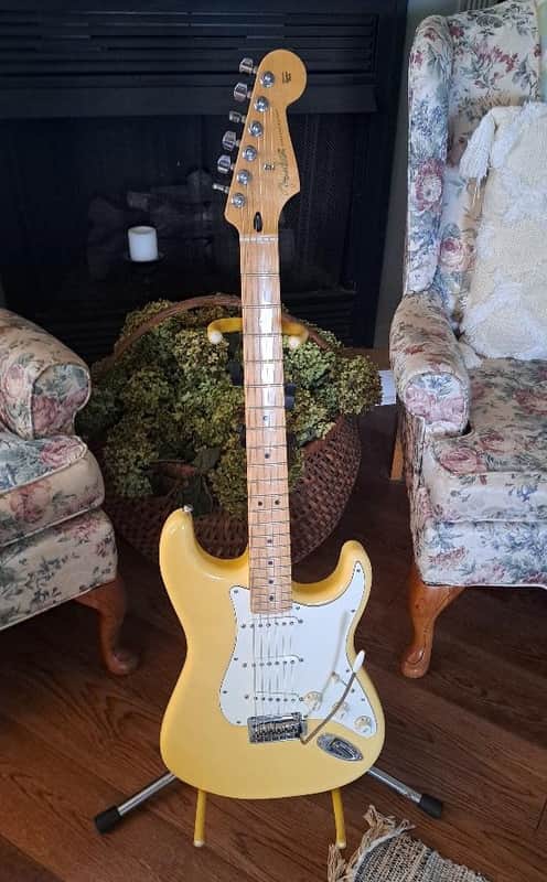 Fender Stratocaster Player MIM image 1