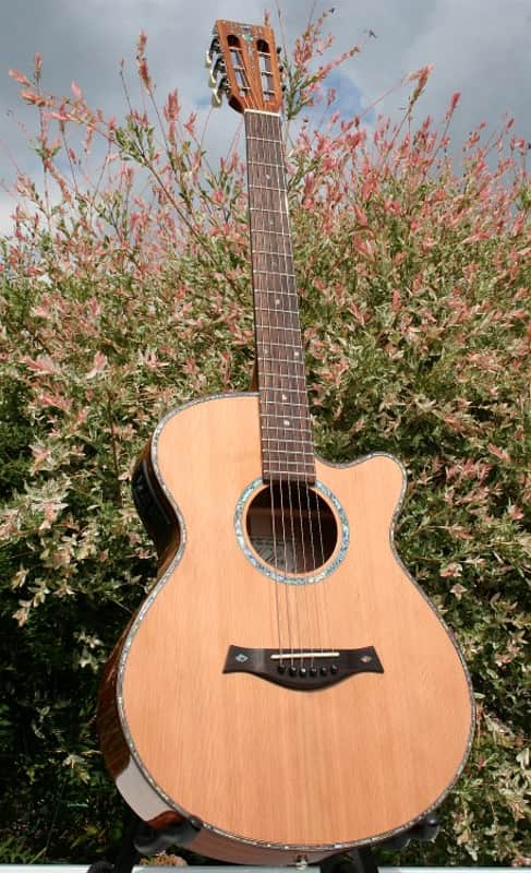 Weller PICKER 00 AUDITORIUM 2018 - HAWAIIAN KOA BODY image 1