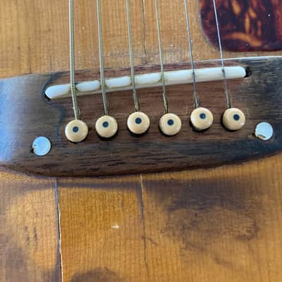 Epiphone FT-45n Cortez 1965 image 14
