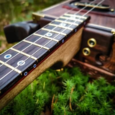 The Indian Eagle II - Rosewood custom cigarbox guitar image 5