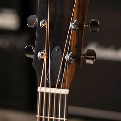 Taylor 210ce Dreadnought Acoustic/Electric Guitar with Gig Bag - Factory Demo image 5