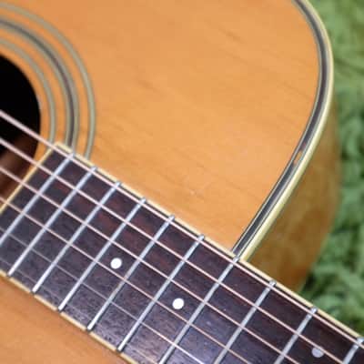 Vintage 1982 Ibanez NW-30 Acoustic Dreadnaught Guitar w/ SSC image 7