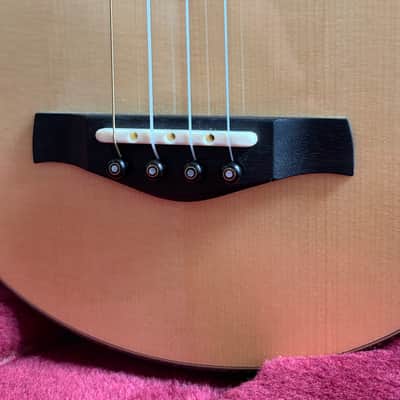 Hive Hornet Tenor Ukulele #13015 – Spruce / Mahogany – Gold Waverly Tuners – Ameritage Case image 3