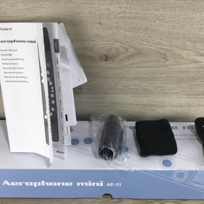 Roland Aerophone AE 01 image 22