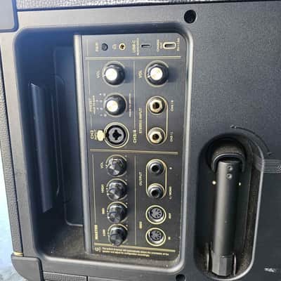 Positive Grid LIVE 150-watt 4-channel Combo Amp/Pa with Rechargable Battery image 4