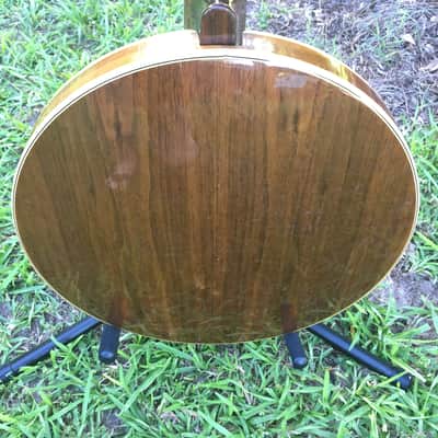 1970s Fender Artist 5-string Banjo image 8