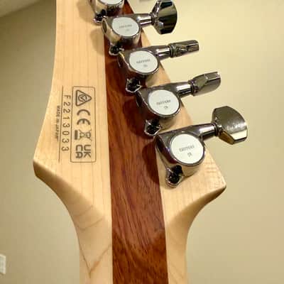 Ibanez JS1CR Joe Satriani Signature Chrome Boy image 5