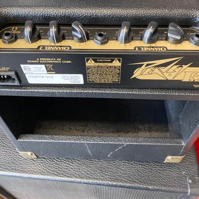 Peavey E20 Ecoustic 20W Acoustic Guitar Combo Amp image 4
