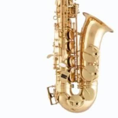 Selmer Alto Saxophone SAS511 Advanced Level Lacquer Finish 24086865 image 1