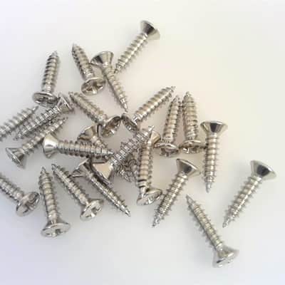 True Custom Shop® Nickel Pickguard and Plate Mounting Screws for Fender Tele image 1