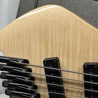 Strandberg Guitars Boden Original 5 Headless Multiscale 5-string Bass with Gig Bag 2019 image 3