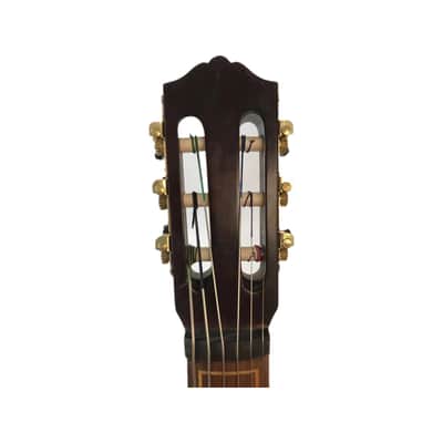 6 strings SONG Brand Maestro 1/4 cello,guitar head, very powerful sound #14368 image 8