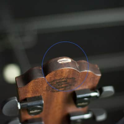 Washburn Comfort G55CE Koa image 17
