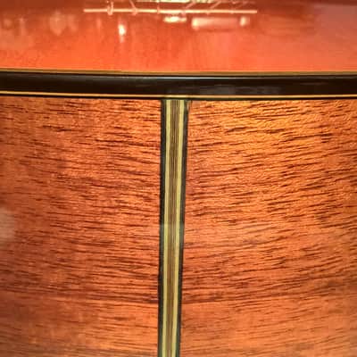 Alvarez Professional Series Model 5202 Classical Guitar -- Mint Condition; w/ SKB Hard Shell Case image 16
