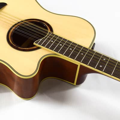 Yamaha APX700II-12 Thinline Acoustic/Electric Cutaway 12-String Guitar - Natural image 5