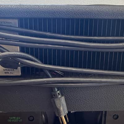 Rickenbacker TR 100 Guitar Amp image 6