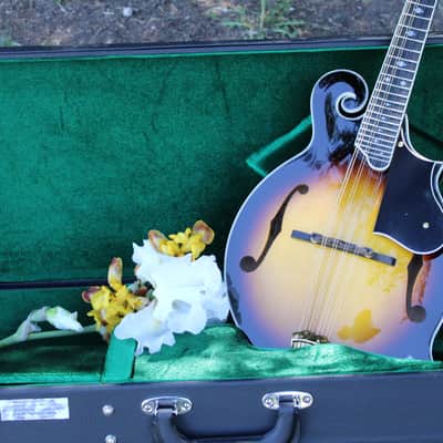 Suzuki MC-836 Mandocello / Mandoloncello | Reverb