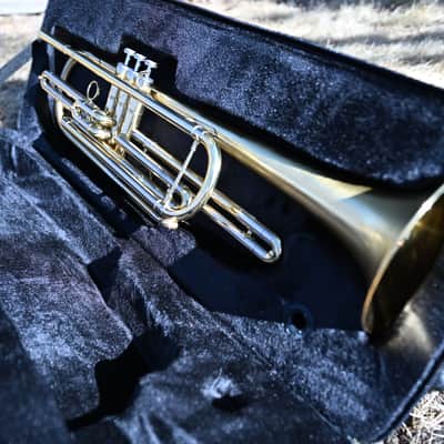 Bb Bass Trumpet - Scratched and Buffed Lacquer - NEW student model / great as a secondary or marching horn image 11