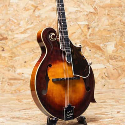 Iwashita Mandolins&Guitars F 5 2024 image 3