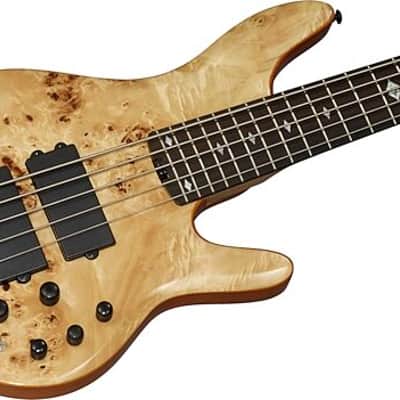 Michael Kelly Pinnacle 5-String Bass Electric Bass Guitar with Natural Burl Finish image 4