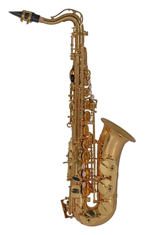Roy Benson AS-201 Student Alt Saxophon image 1