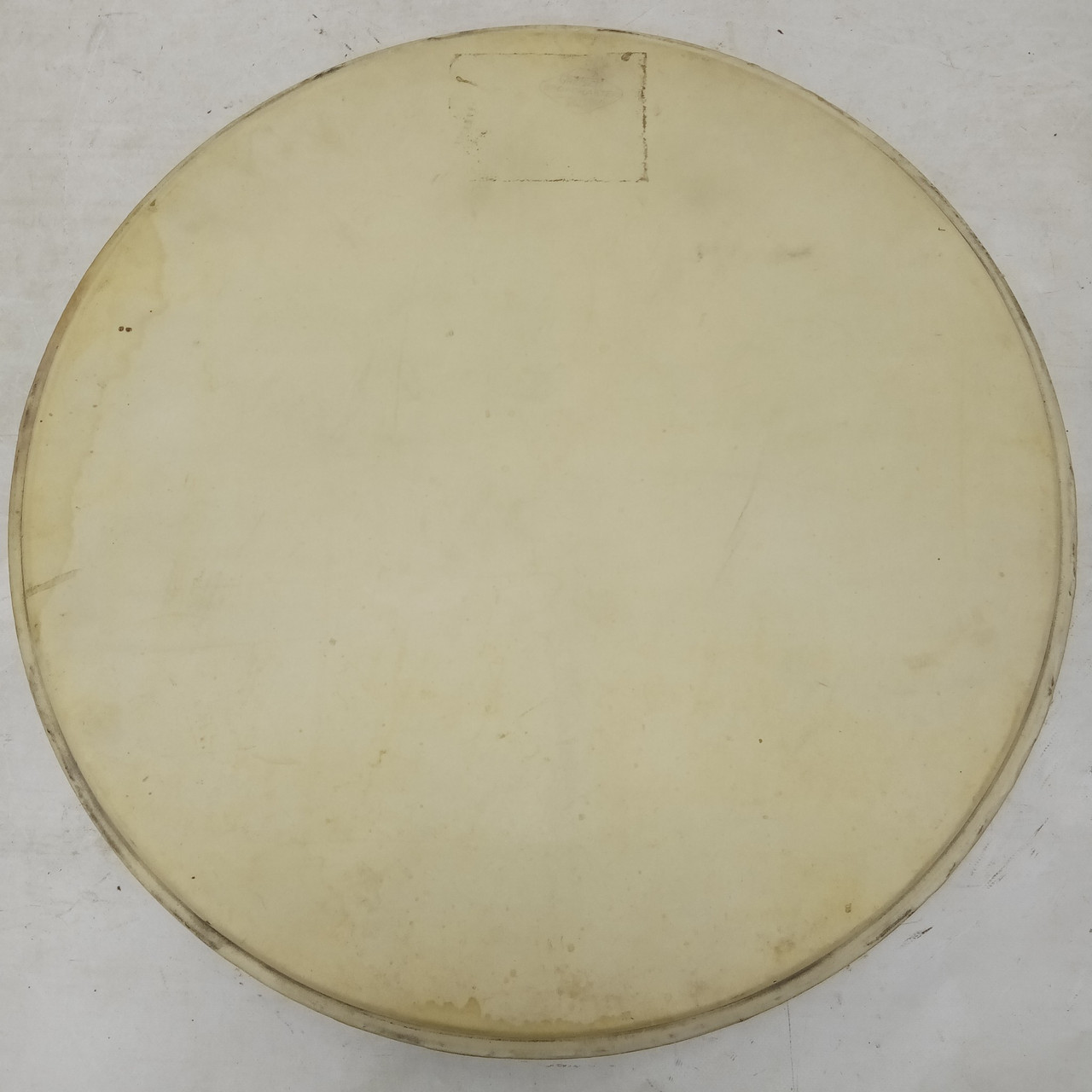 Gretsch 20"Broadkaster Calf Skin Bass Drum Head Professional Quality Vintage 50s — main photograph