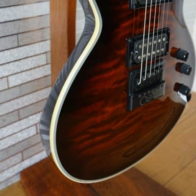ESP LTD EC-1000 Evertune QM - Dark Brown Sunburst image 7