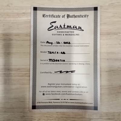 Eastman T64/v - Antique Goldburst-P2300710 image 12
