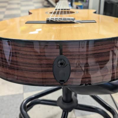 Taylor 212ce-N Plus 2022 - Gloss Body, Matte Neck. image 14