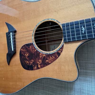 Breedlove Performance Focus D 2004 - new frets, Natural image 1