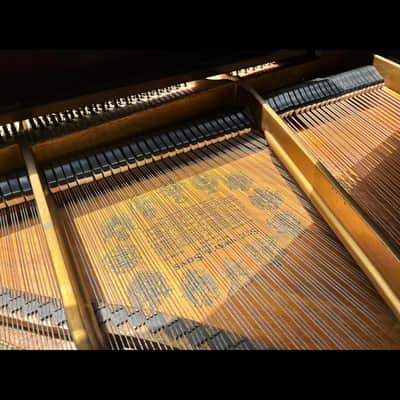 Steinway & Sons Model M Grand Piano – 5'7" image 10