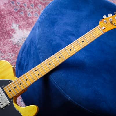 1973 Fender Telecaster Thinline Natural image 6