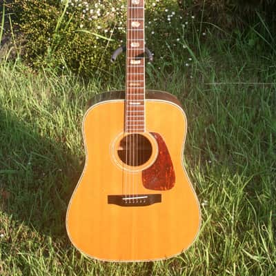 Morris TF-60 D size Guitar Jacaranda Body 1990's - Natural+Hard Case FREE image 2