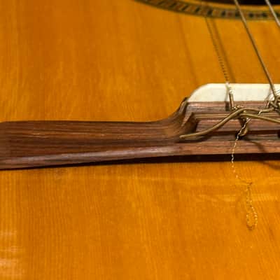 Vintage Giannini GN-60 Classical Guitar image 18