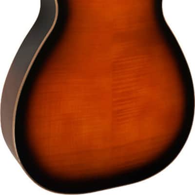 Gold Tone PBR-D Paul Beard Signature Deluxe Roundneck Resonator Acoustic Guitar, Curly Maple Top, Sunburst image 3