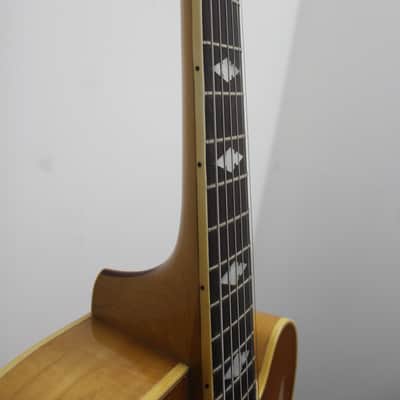 Epiphone Triumph Regent 1951-1953 image 8