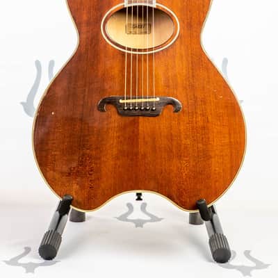 Daion The Year Series '81 Caribou - Brown (BR) - Electric Acoustic Six String image 1