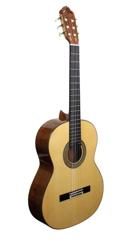 Manuel Adalid 12 Spruce image 1