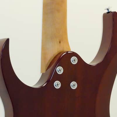Ibanez Gio RG220PA1 Electric Guitar Trans Brown Black Burst image 7