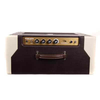 Eddie Wang Polaris Combo Amplifier - Local Pickup Only image 4
