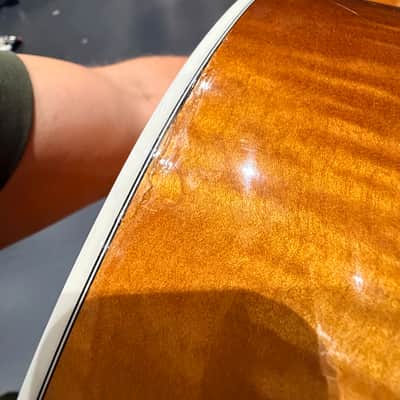 Taylor 614ce with LR Baggs Pickup Honey Sunburst image 18