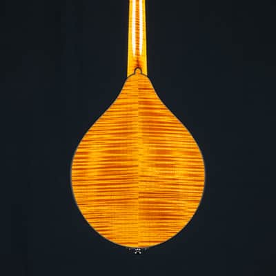 Collings MT2 Honey Amber Adirondack Spruce and Flamed Maple Mandolin NEW image 3