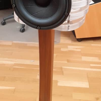 Eden Acoustique Tomei complete System (Expo) image 7