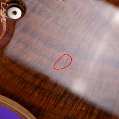 2006 Dingwall Prima Artist Claro Walnut image 15