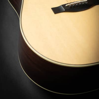 Santa Cruz D Custom (8095) image 6