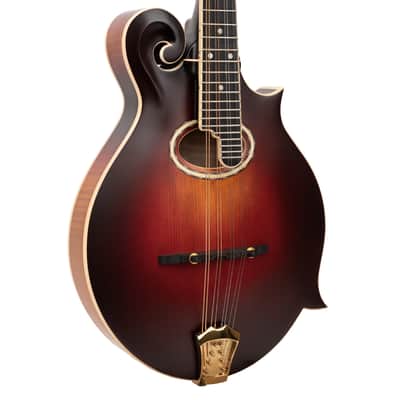 Gold Tone GM-80: F-Style Mandolin with Case image 2