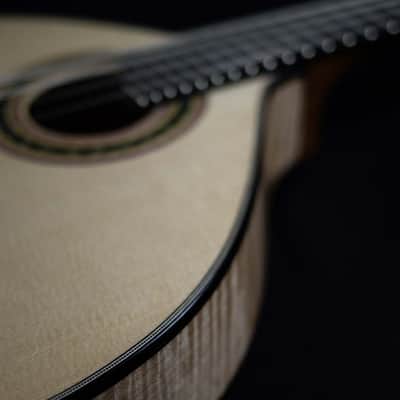Fernando Paizinho 8-String Mandolin image 6