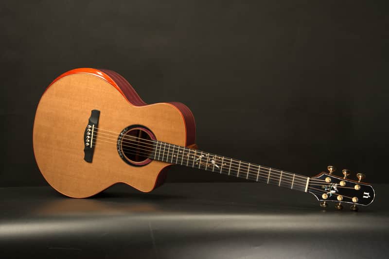 Natasha JC30 (Cedar) - Canadian Cedar and Purpleheart Acoustic Guitar 2023 - Gloss image 1