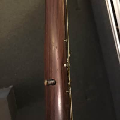 Paradis Avalon Nylon String Electric Polyphonic Guitar image 9