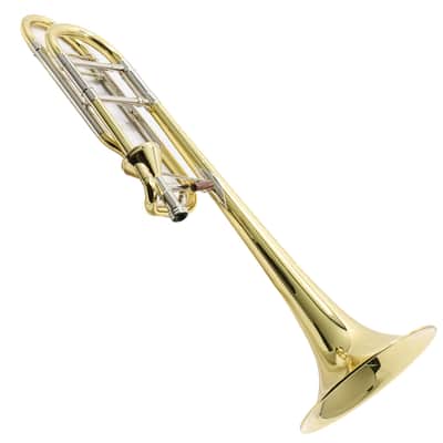 S.E. Shires Model STBSCA Custom Professional Tenor Trombone image 21